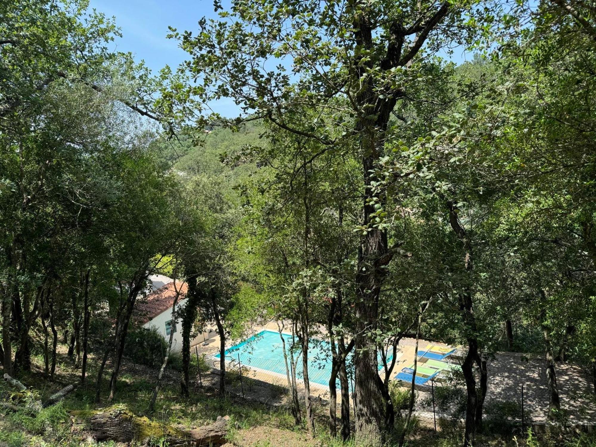 Maison Avec Piscine Chauffee Entre Mer Et Montagne Montauriol  Exteriör bild
